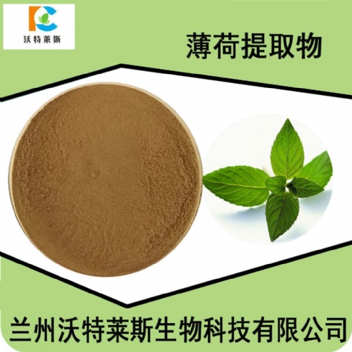 薄荷提取物 薄荷.
