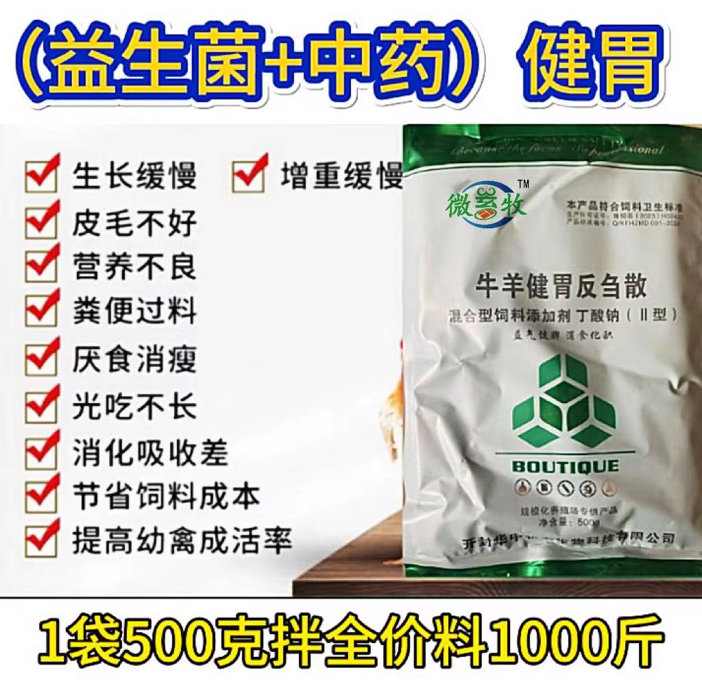 夏季長(cháng)途運輸羊，到家.